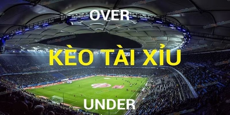 ảnh đại diện kèo tài xỉu bóng đá